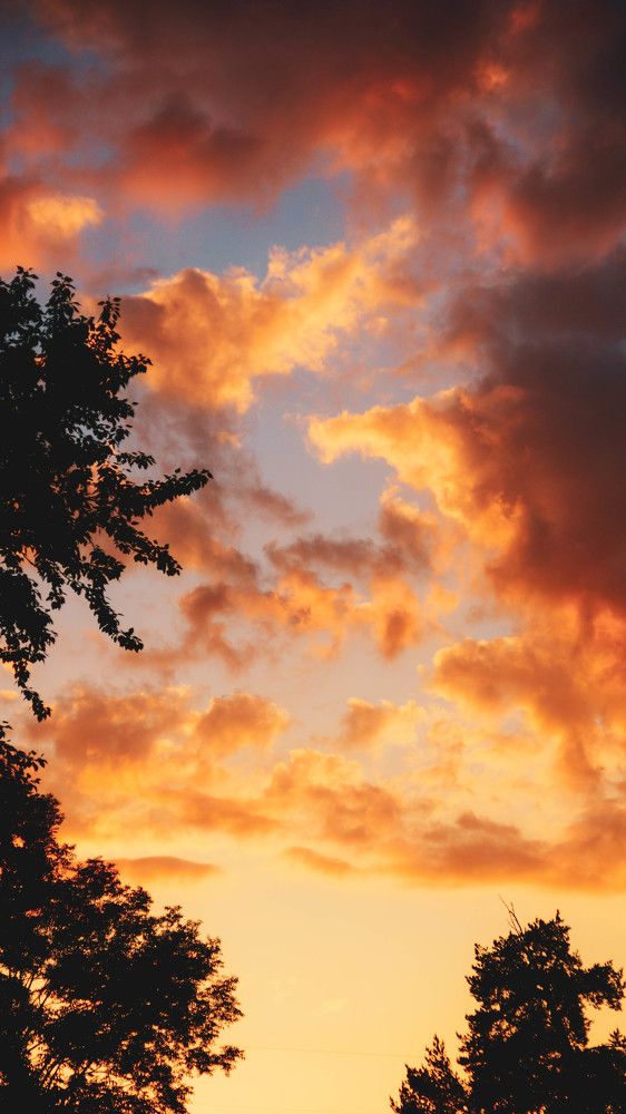 Фотография автора Дмитрий Земсков