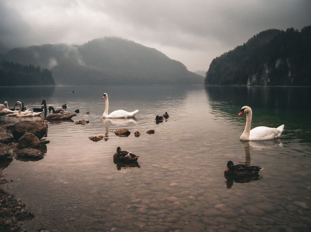 Альпийское озеро