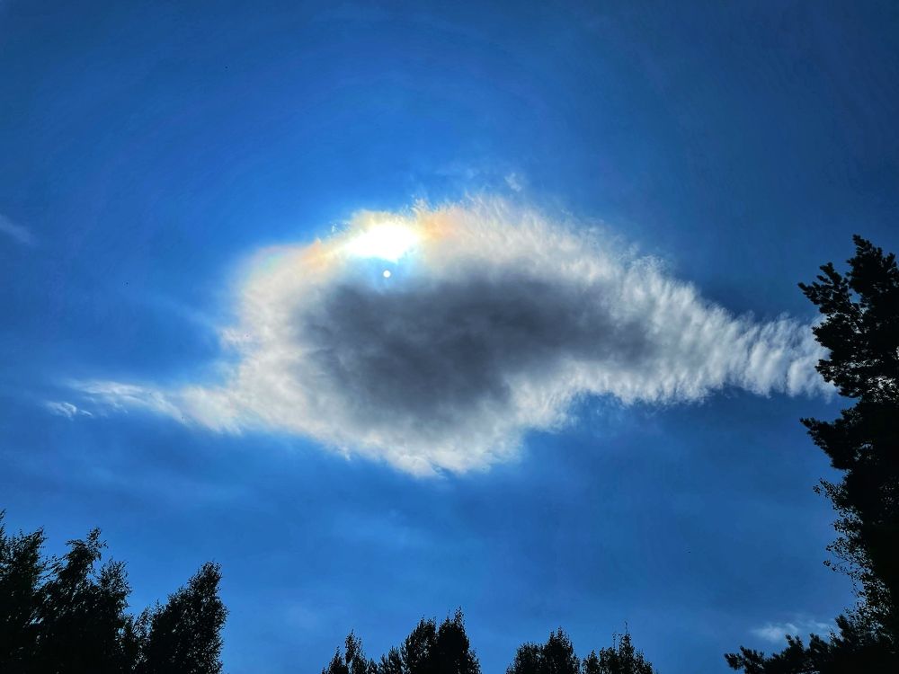 Фотография автора Nadezhda