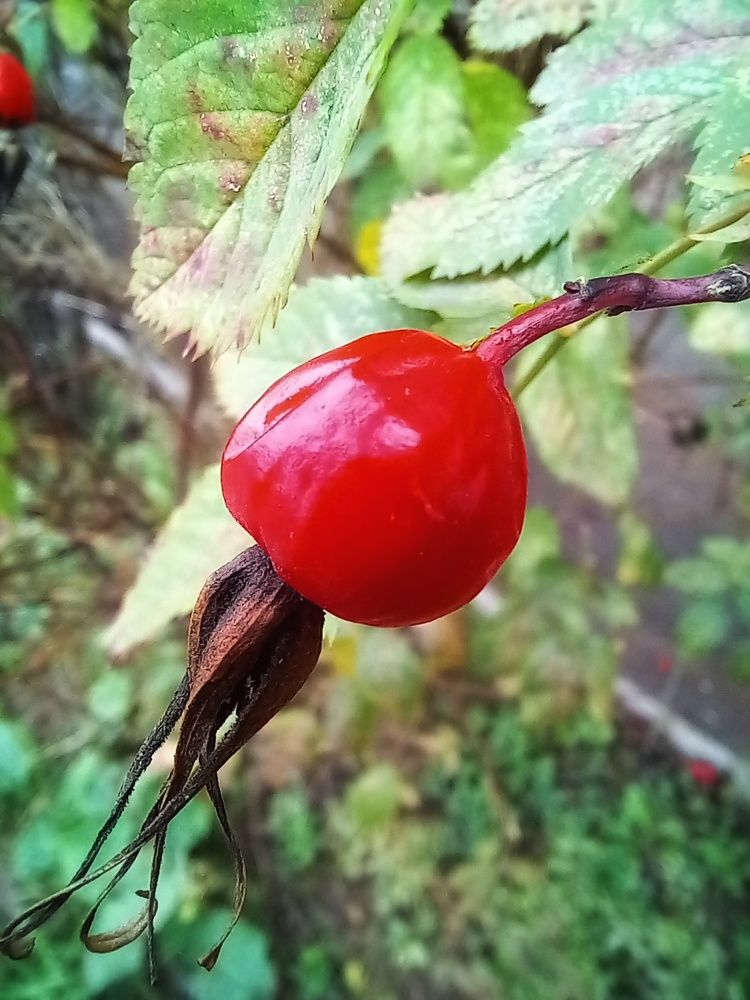 Photograph by Жанна