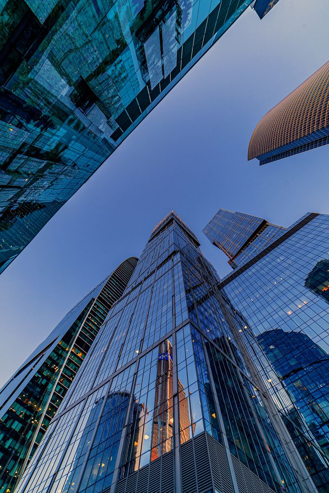 В стеклянных джунглях