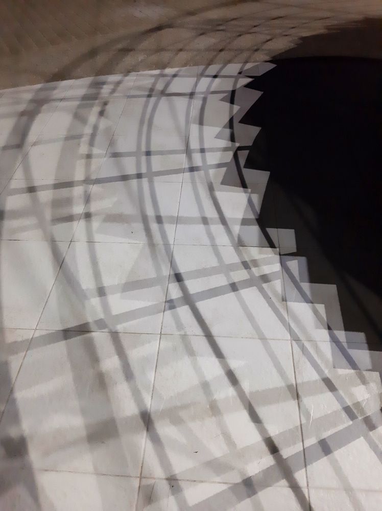 Photograph by Olga Smirnova