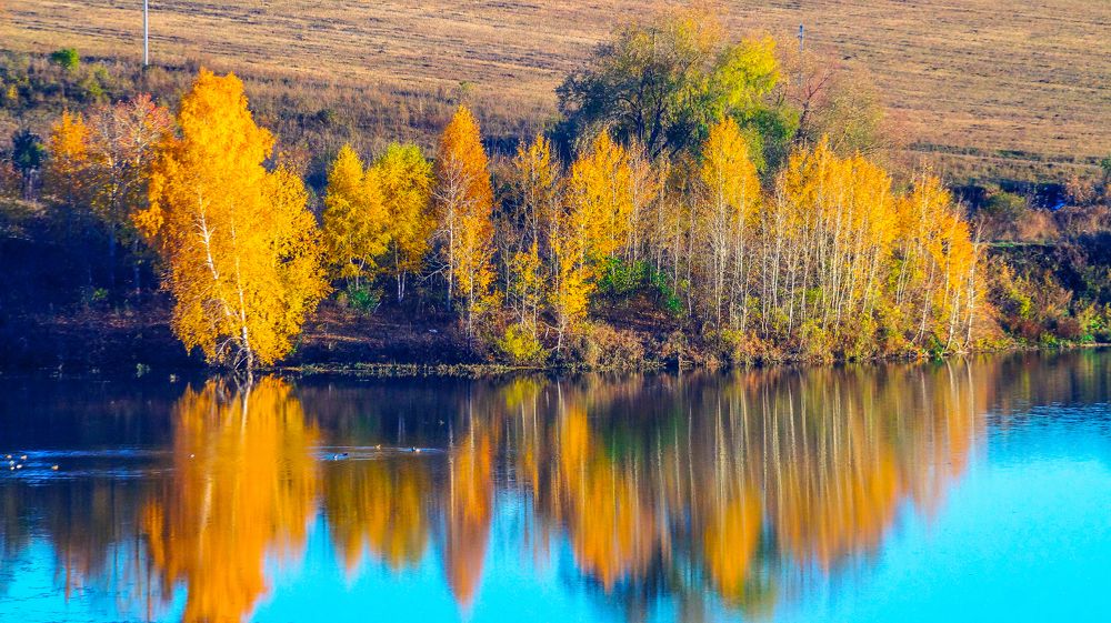 Photograph by Кожиков Данияр