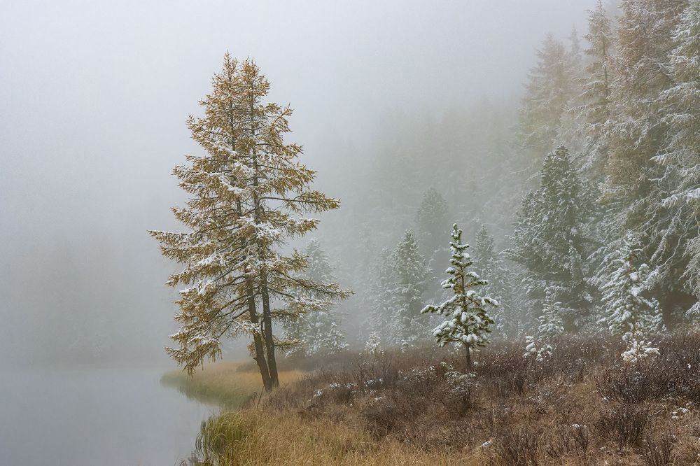 Photograph by Морозов Сергей