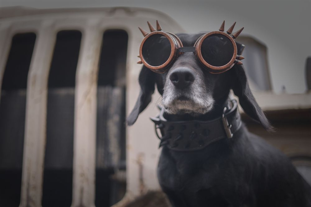 Безумный Макс