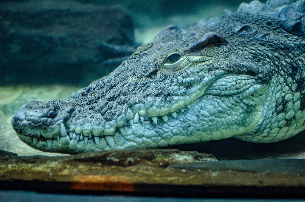 Photograph by Александр Леонов