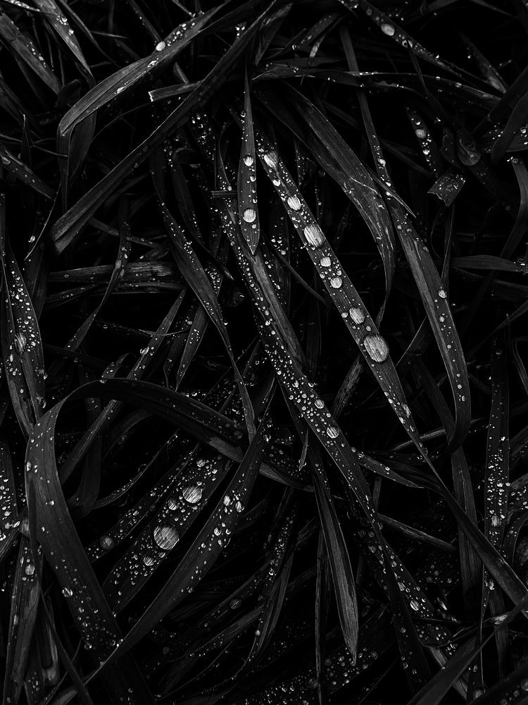 Photograph by Олена Уманцева