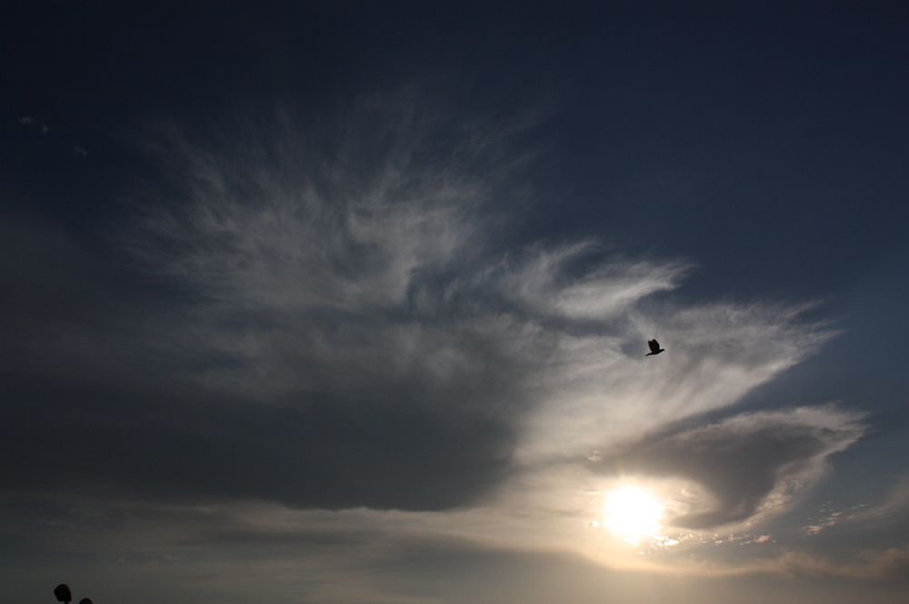 Photograph by Ajith Maniyan