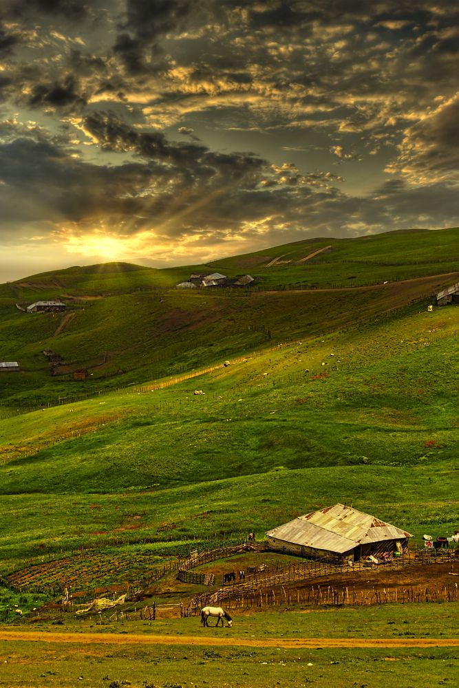 Photograph by Siamak Sabet