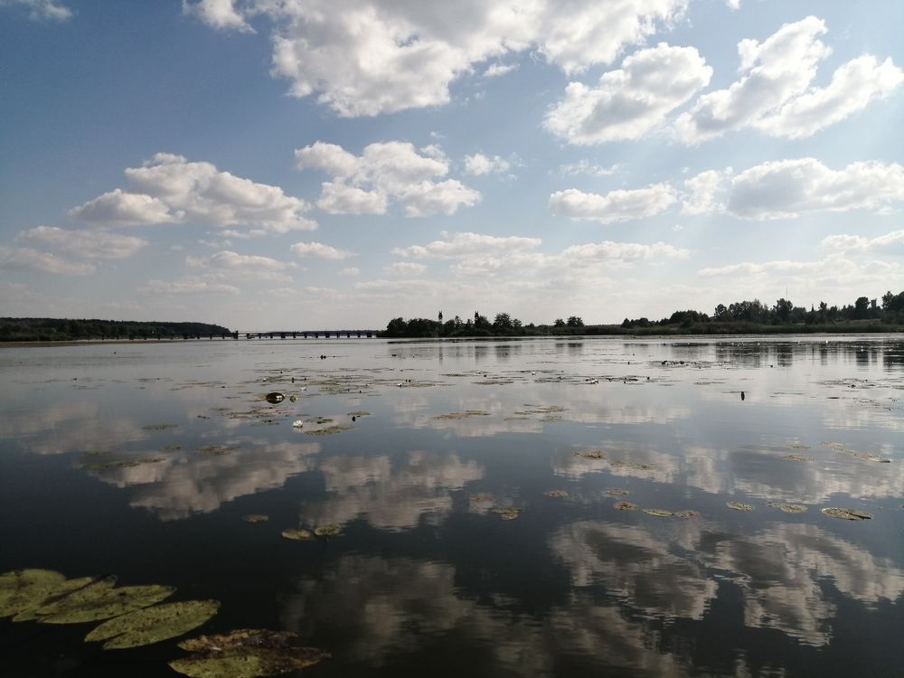 Фотография автора Жанна Афанасьева