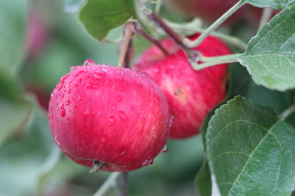 Photograph by Мария Глухова