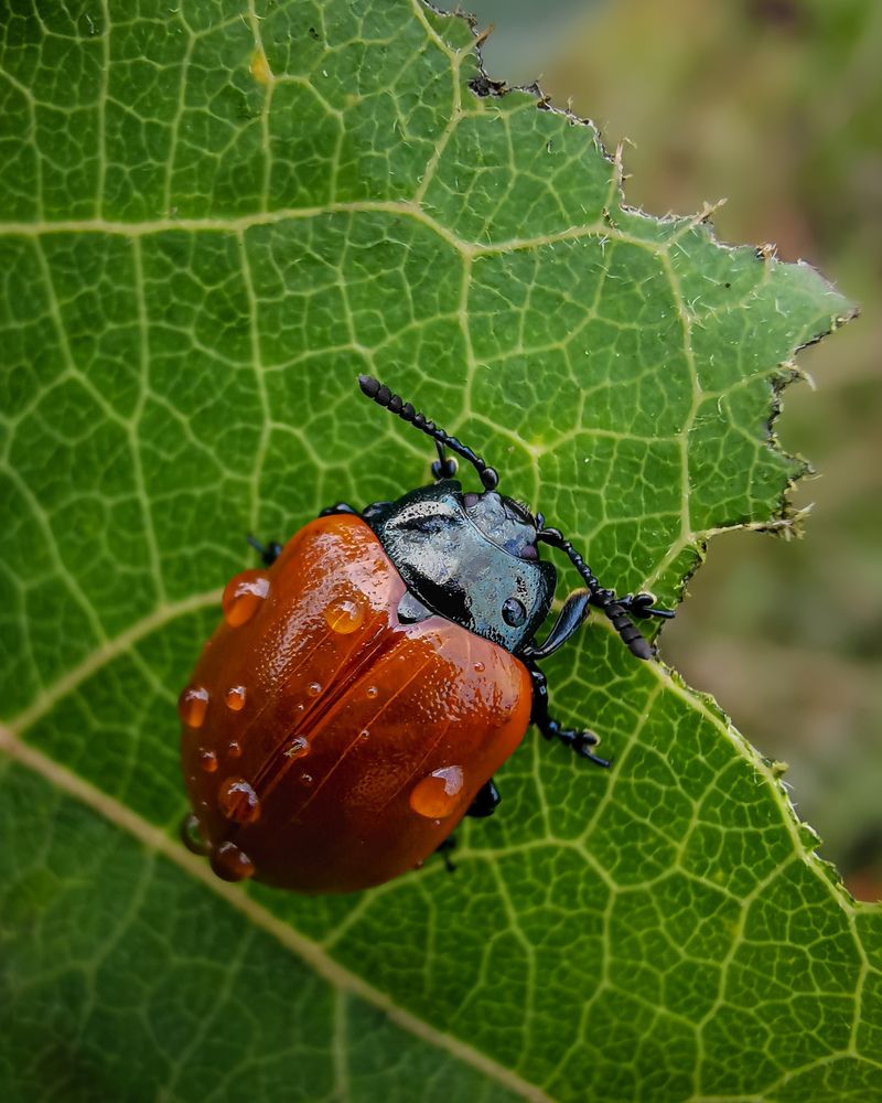 Фотография автора Дмитрий