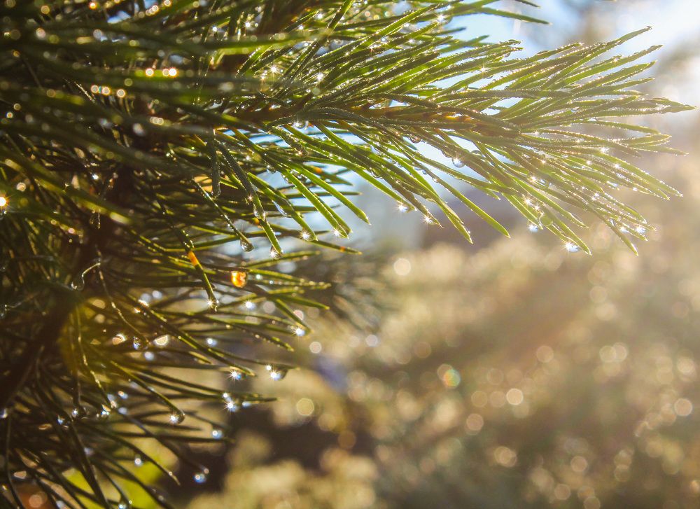 Photograph by Матвей Короткин