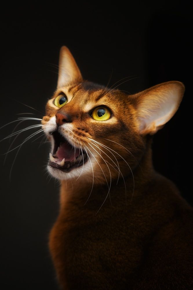 Photograph by Владимир Борозенец