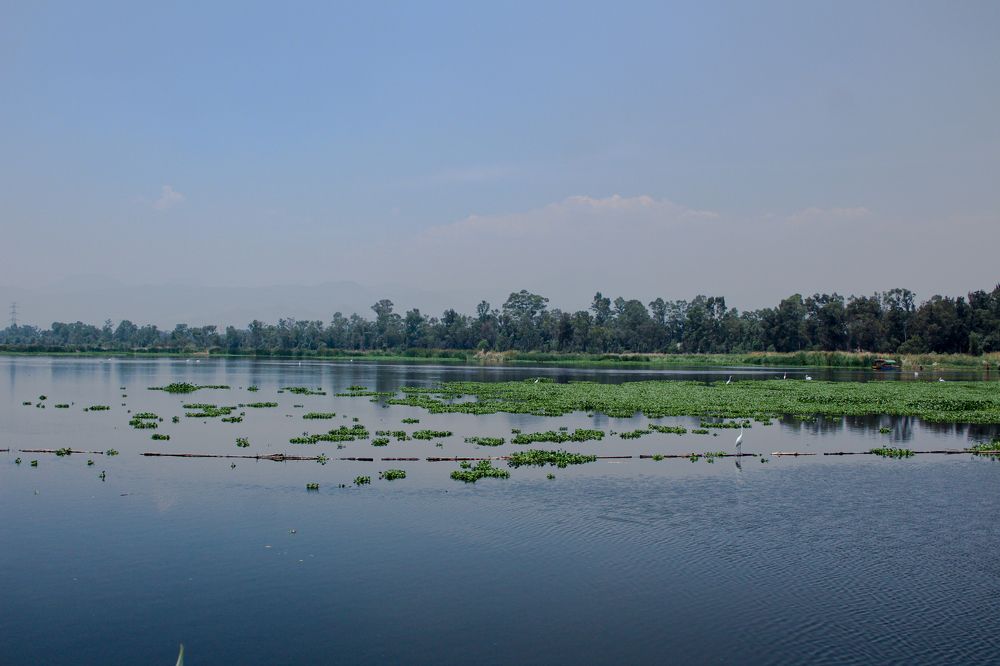 Фотография автора Raúl Emiliano Bazet Najera