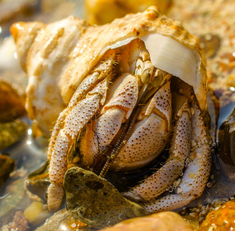 Photograph by Евгений Каримов