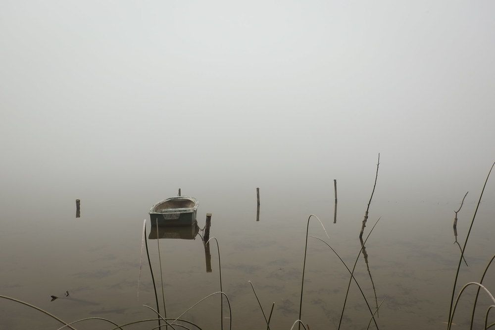 Photograph by Александр Остапчук