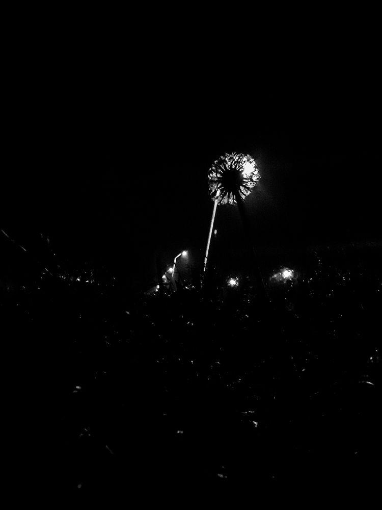 Лампочка ОДУВАНича