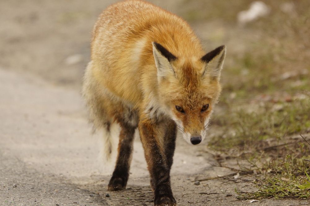 Photograph by Алексей Миронов