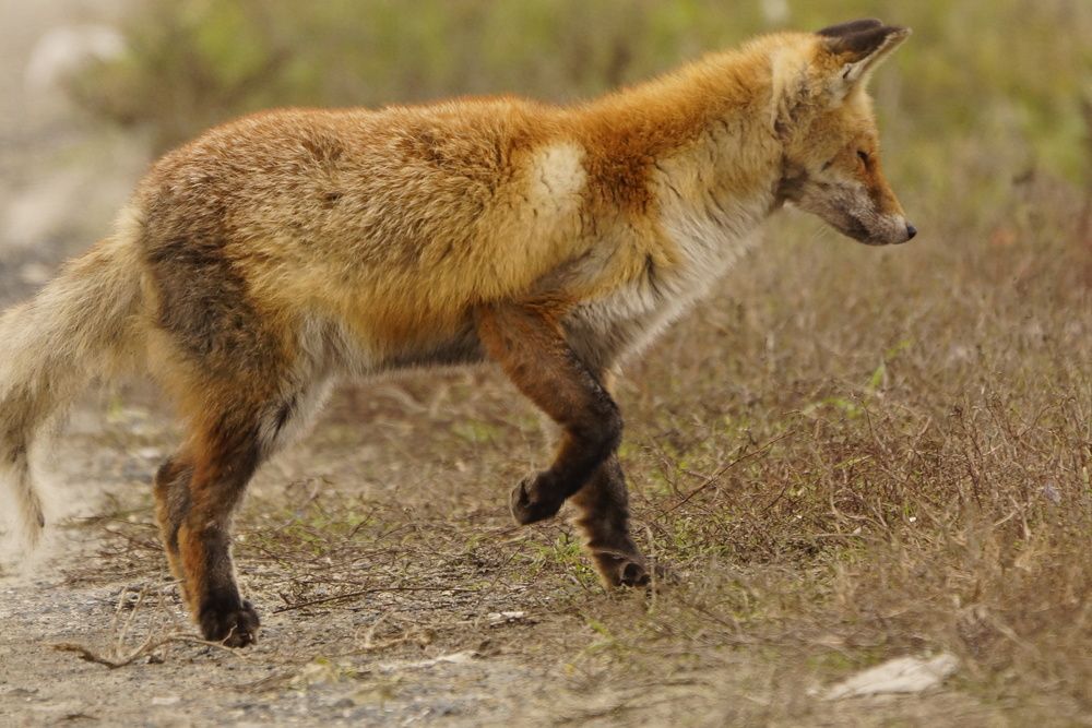 Photograph by Алексей Миронов