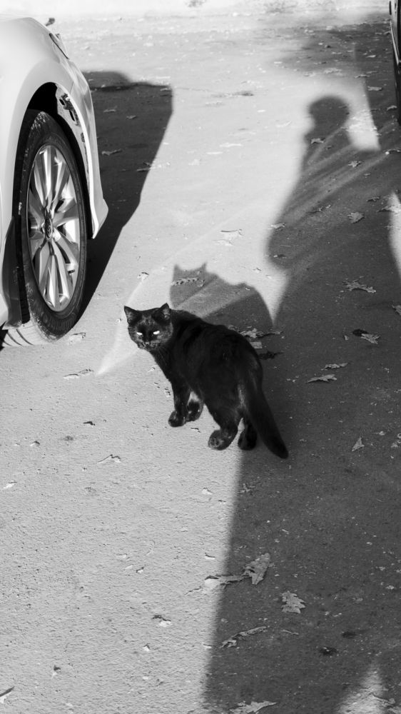 Photograph by Gustov Shults