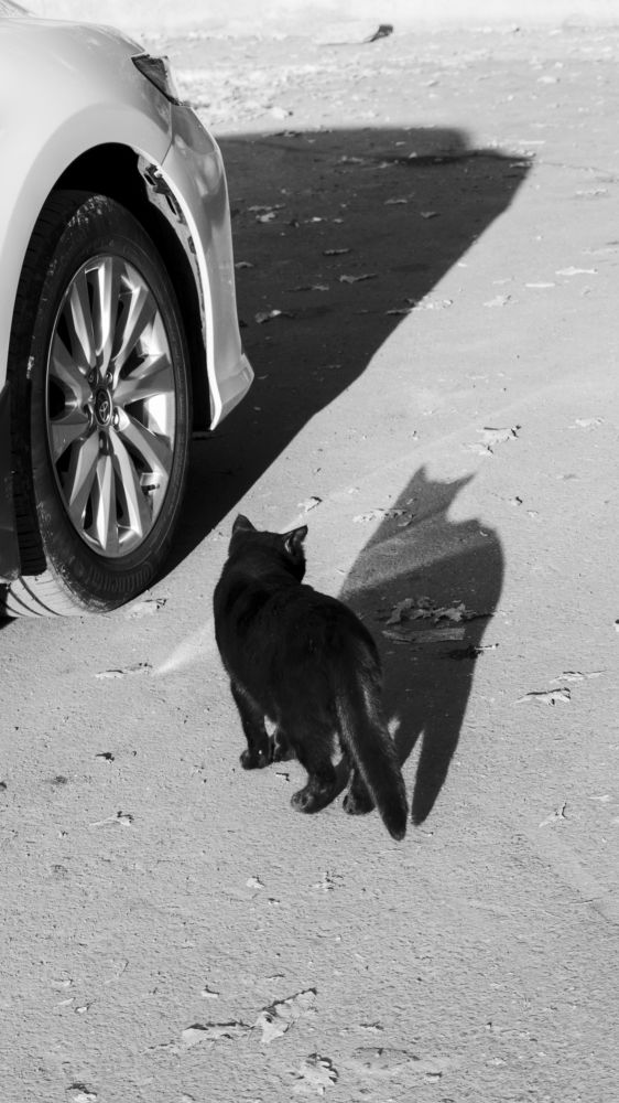 Photograph by Gustov Shults