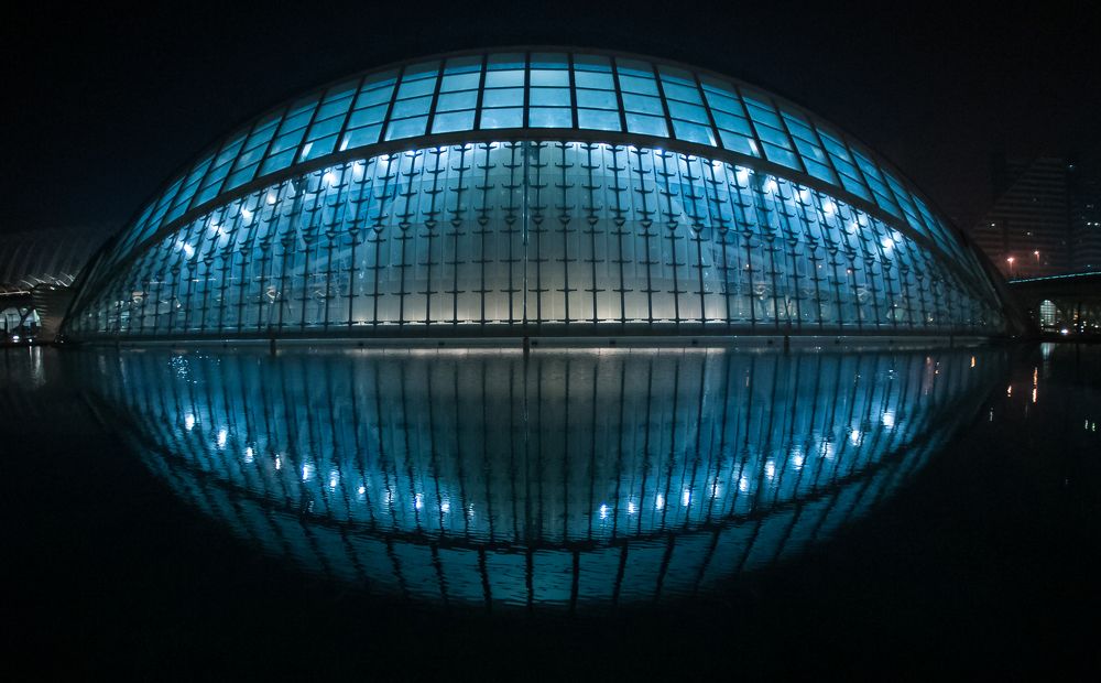 Photograph by Максимова Дария