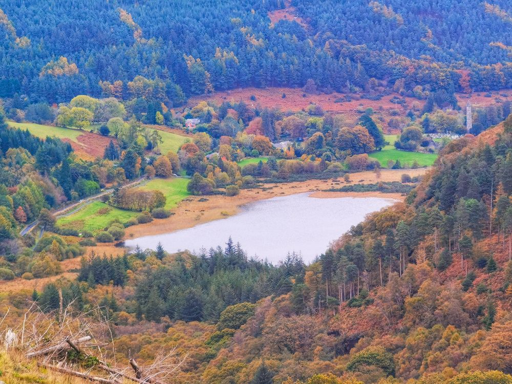 Photograph by Michael Deligan