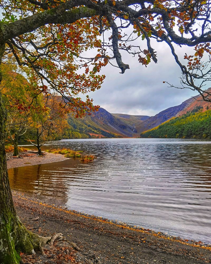 Photograph by Michael Deligan