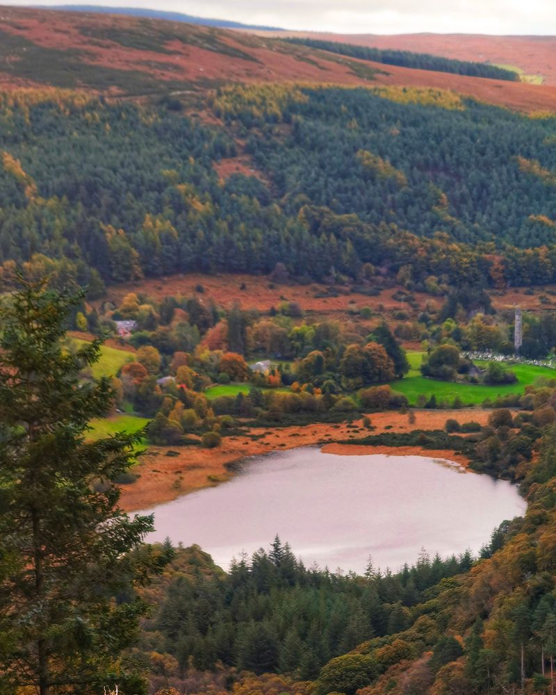 Photograph by Michael Deligan