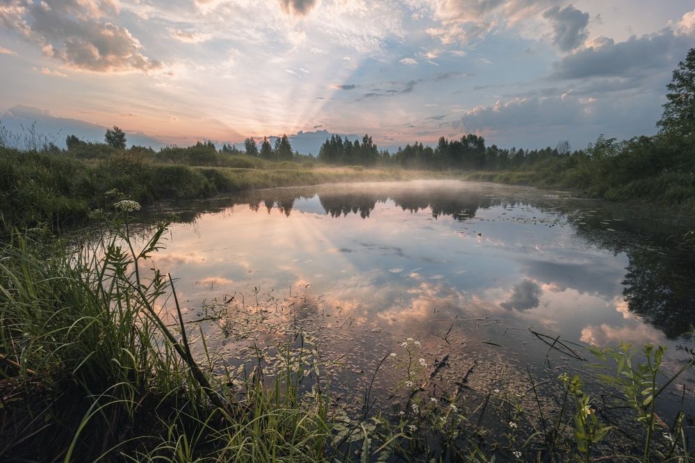 Photograph by Владимир Баранов