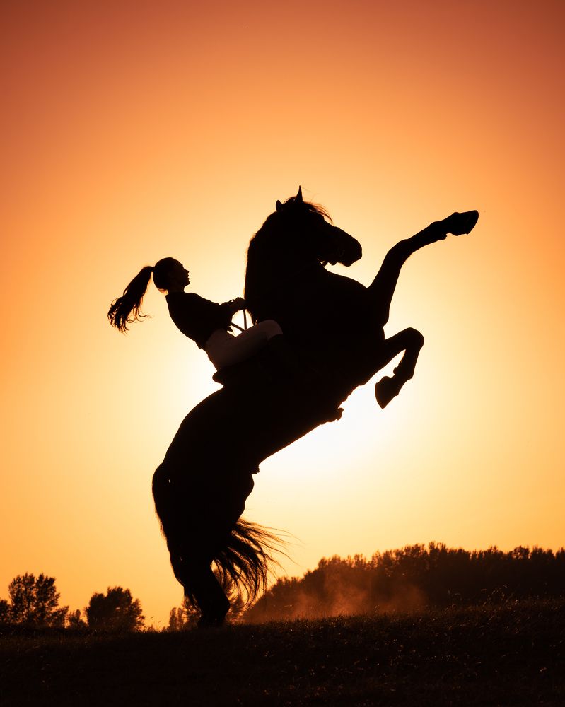 Фотография автора Krisztián Csalami