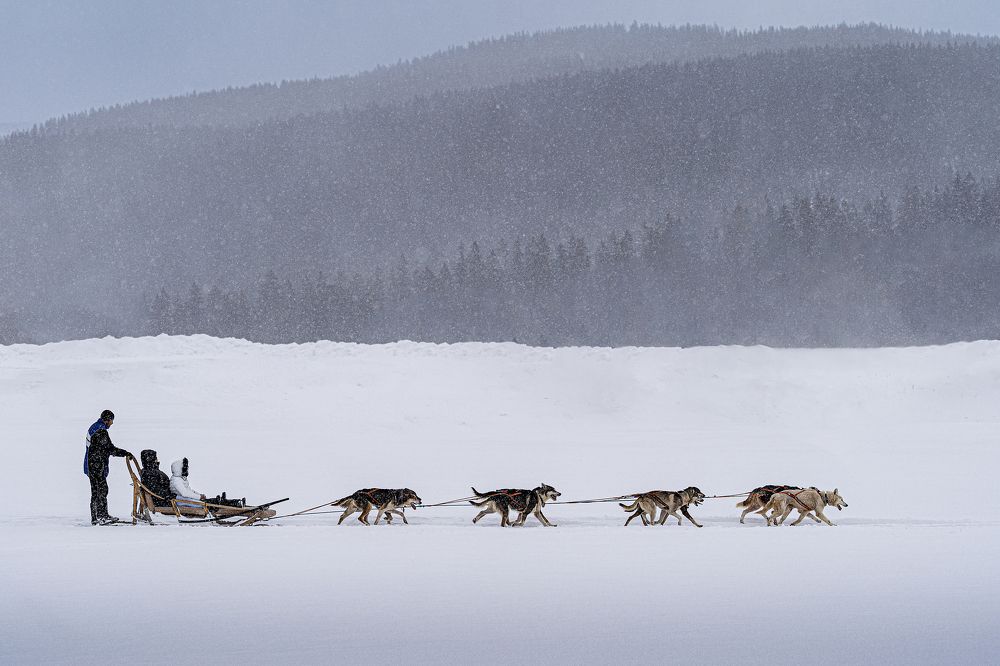 Фотография автора Krisztián Csalami