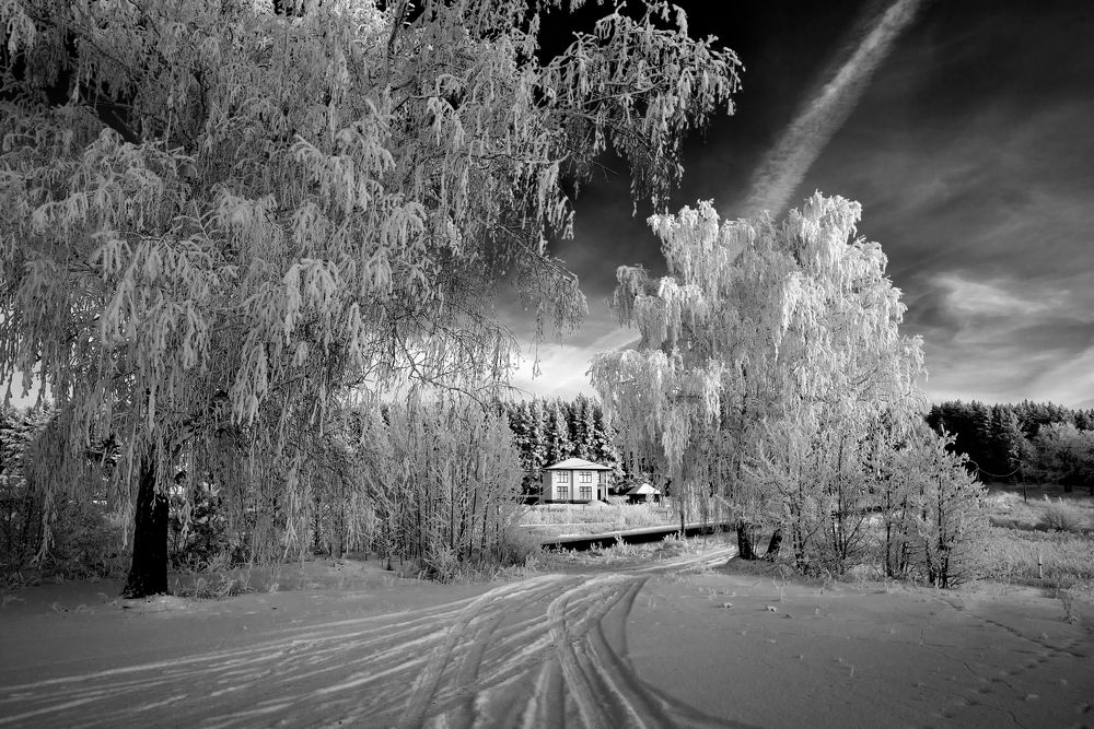 Photograph by Илфир Исламгазин