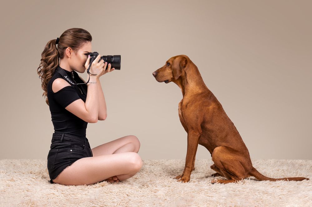 Photograph by Krisztián Csalami