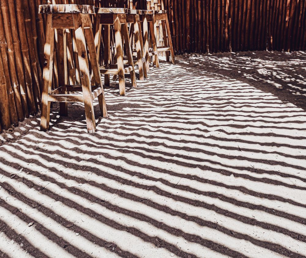 Photograph by Arthur Luck