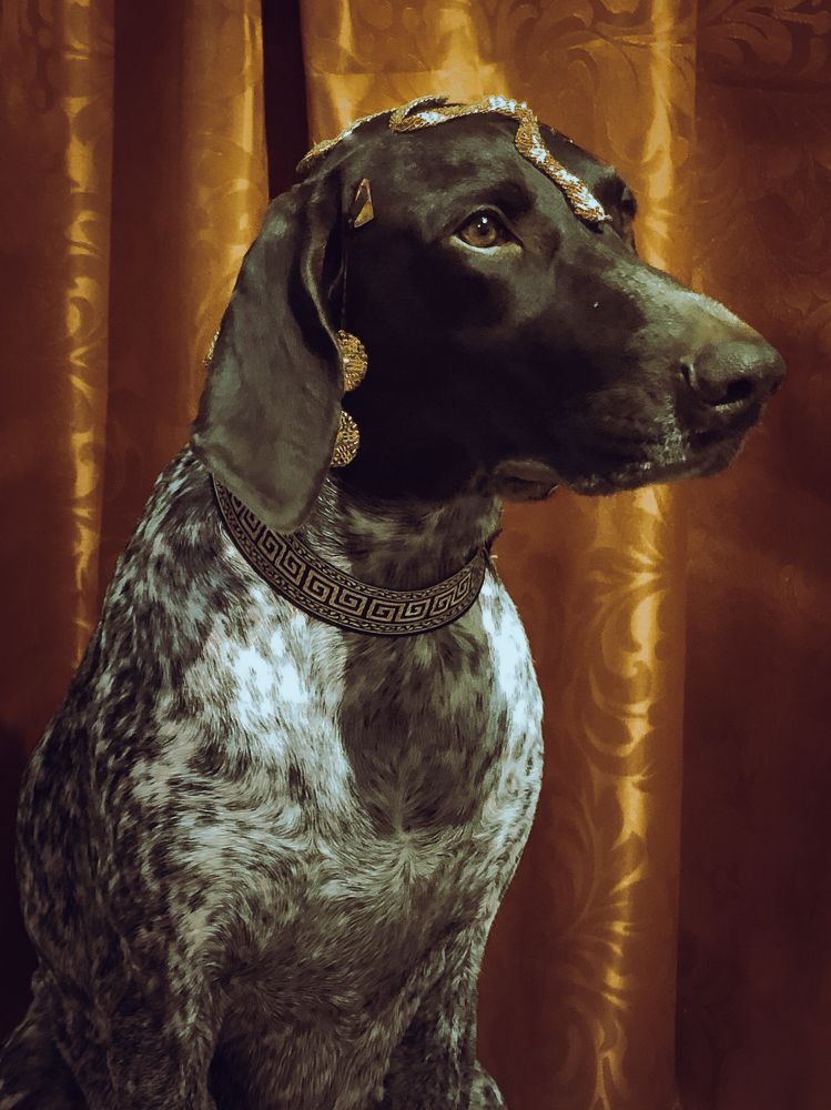 Photograph by Анастасия Волошина