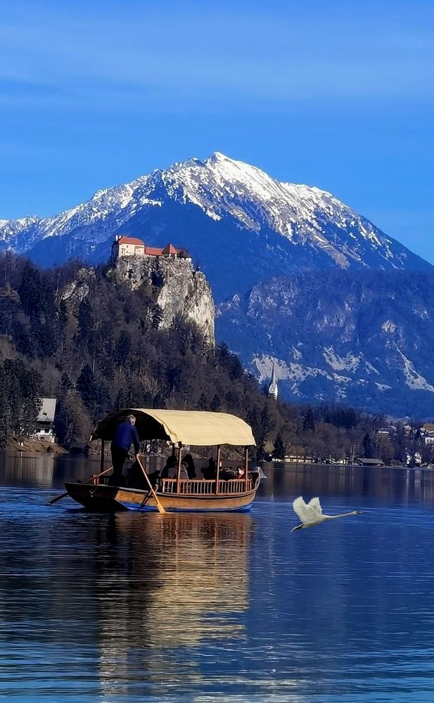 Photograph by Alen Brkić