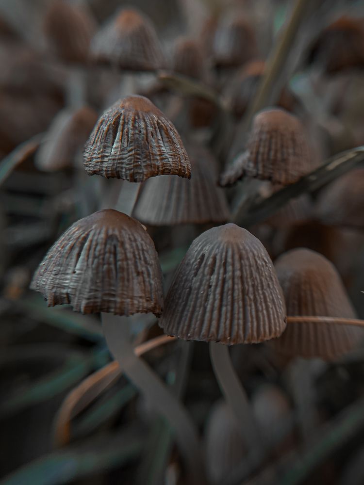 Photograph by Юлия Реутова