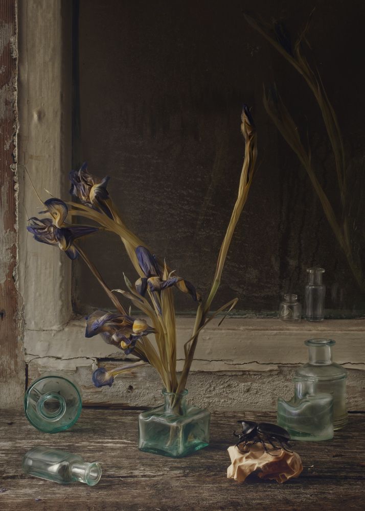 Photograph by Natalia Ricci