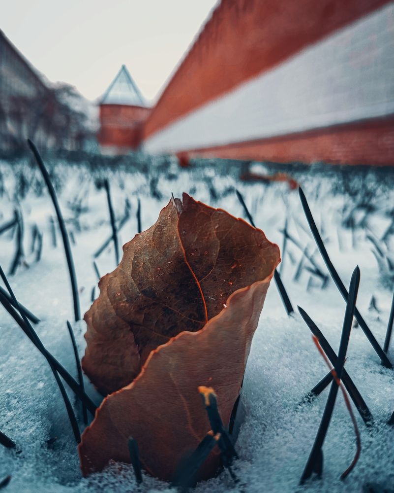 Photograph by Юлия Реутова