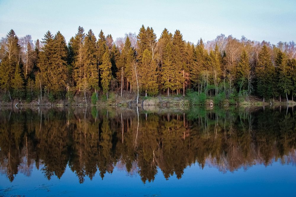 Photograph by Наталья Сапрыкина
