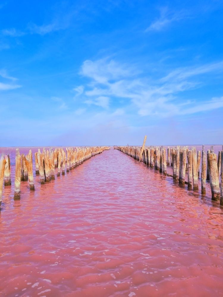 Photograph by Ангелина Шикина