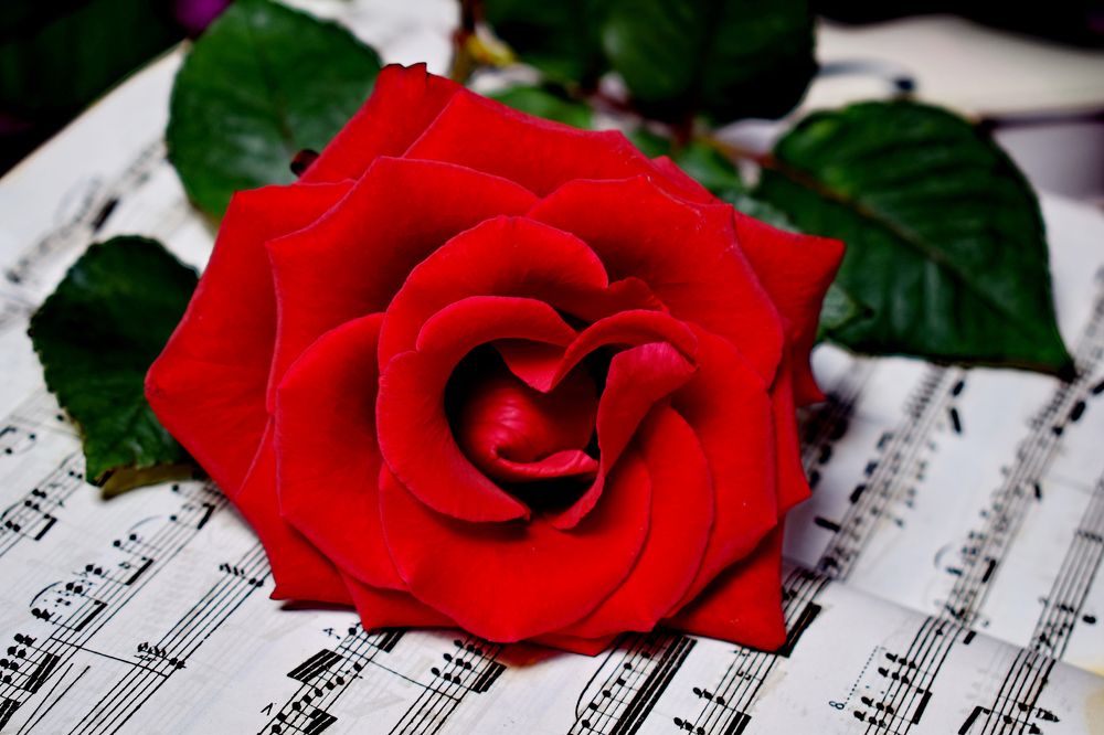 Photograph by Regina Belomytseva-Dahan