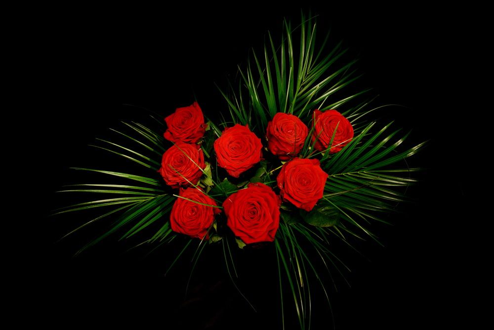 Photograph by Regina Belomytseva-Dahan