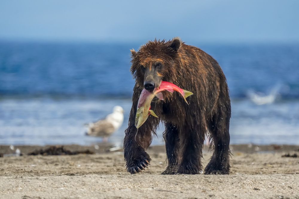 Photograph by Илья Труханов