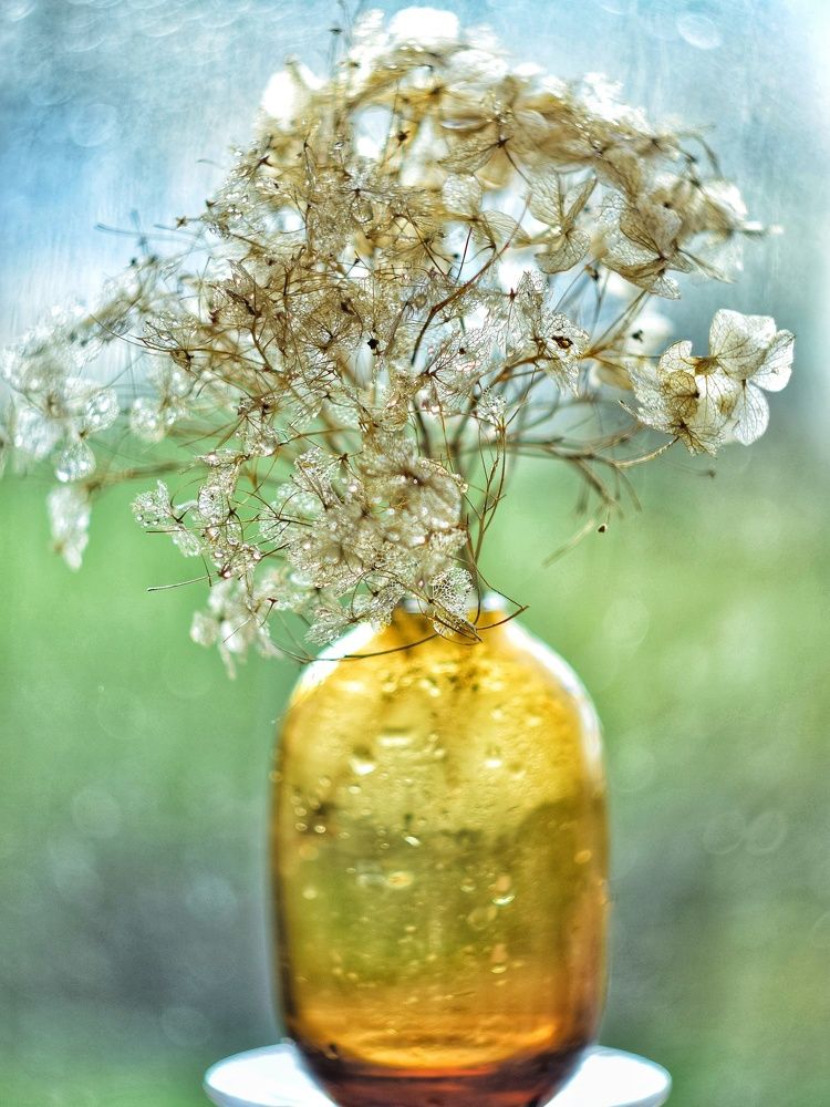 Photograph by Алеся Цеван