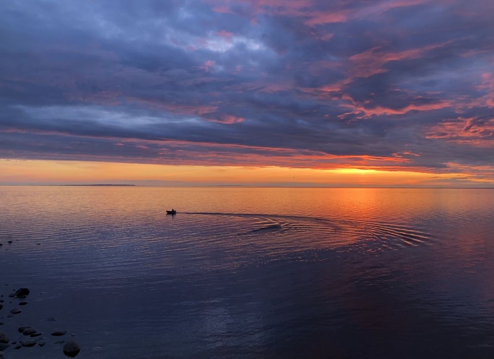 Photograph by Елена Шведова