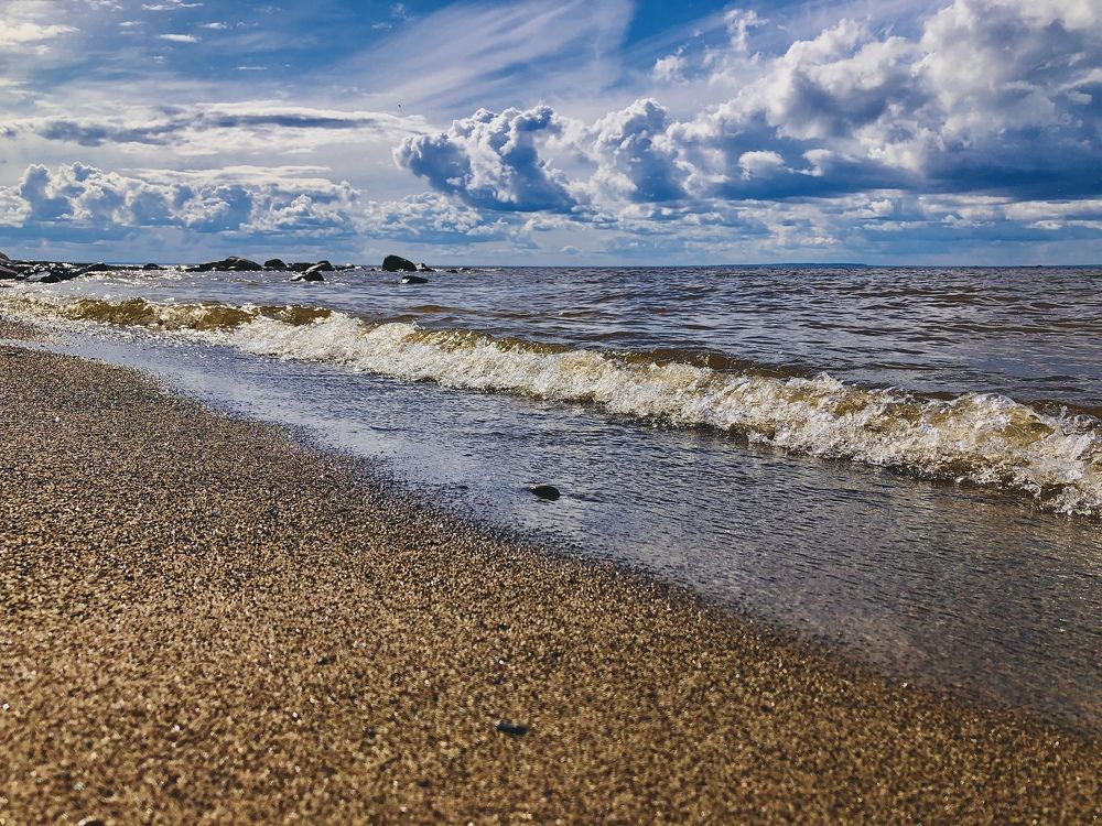 Photograph by Елена Шведова