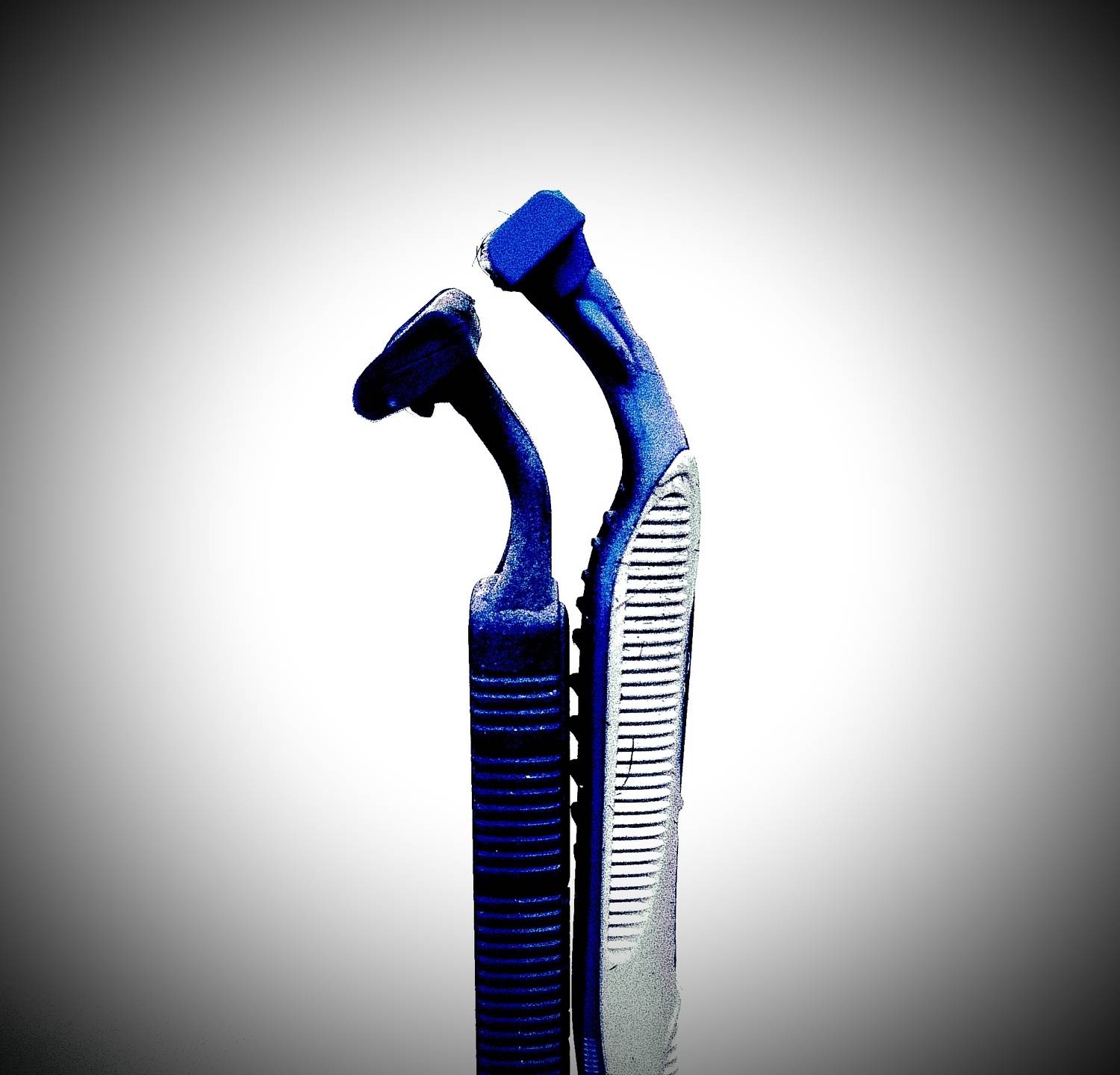 Photo #8365071